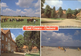 72257184 Oldenburg Holstein Gut Gaarz Pferde Strand Oldenburg - Oldenburg (Holstein)