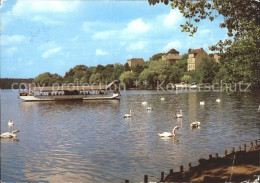 72255599 Strausberg Brandenburg Partie Am Straussee Boot Schwaene Strausberg - Strausberg