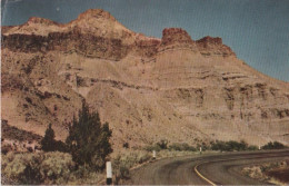 92586 - USA - John Day Country - Picture Gorge - 1951 - Sonstige & Ohne Zuordnung