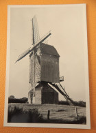 BOUWEL  -   Windmolen - Uitbater Van De Poel - Grobbendonk