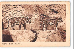 16317 GIARDINO ZOOLOGICO DEL GOVERNATORATO DI ROMA -TIGRI EMIR W HAWA - TIGER - Tigers