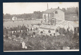 Bastogne. Etablissement J. Colard-Metz, Horticulteur. Vue Prise En 1913 - Bastenaken