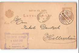 16349 KURZWEIL BERNAT BUDAPEST TO HOLLESCHAU - Postal Stationery