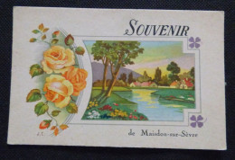 44 - SOUVENIR DE MOISDON-SUR-SEVRE - Saint Etienne De Montluc