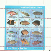 SAUDI ARAB - -Rare Fishes Red Sea - Saudi Arabia