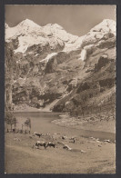 109385/ KANDERSTEG, Oeschinensee Mit Blümisalp  - Kandersteg