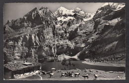 109386/ KANDERSTEG, Oeschinensee, Blümlisalp - Kandersteg