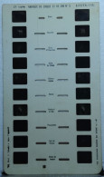 LESTRADE  :    ANIMAUX DU CIRQUE ET DE ZOO  N°5 - Stereoskope - Stereobetrachter