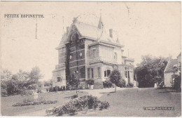 Belgique / Petite Espinette - 1910 - Uccle - Ukkel