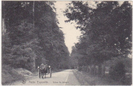 Belgique / Petite Espinette - Drève St-Hubert (Attelage) - 1910 - Ukkel - Uccle