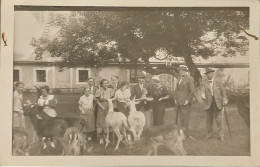 1934 Real Photo In ZOO With Animals Incl. Elefant  I- VF 556 - Elephants