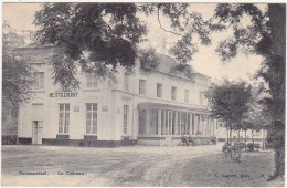 Belgique / GROENENDAEL - Le Château - 1910 - Hoeilaart