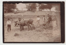 CARTE PHOTO -  LABOURAGE - UN LABOUREUR ASSIS ET SA CHARRUE - ATTELAGE DE CHEVAUX -2 SCANS - - Attelages