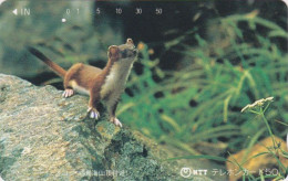 Télécarte JAPON / NTT 410-090 ** ONE PUNCH ** - ANIMAL HERMINE - Rongeur Rodent JAPAN Phonecard - Giappone