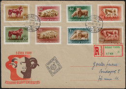 Hongrie 1951 Y&T 986 à 989, PA 111 à 114. Exportation De L'élevage. Jument, Porcelets, Bélier, Vache Et Veau - Fattoria