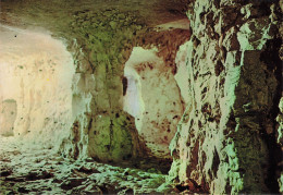CPSM Domaine Des Grottes De Naours-La Galerie Des Trésor    L2745 - Naours