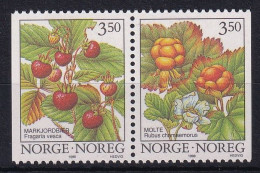 MiNr. 1204 - 1205 Norwegen 1996, 22. Febr. Freimarken: Waldbeeren - Postfrisch/**/MNH - Neufs