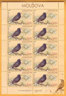 2015 Moldova Moldavie Moldau Birds From Moldovan Regions Sheets Of 10 Stamps Mint 1,20 - Spechten En Klimvogels