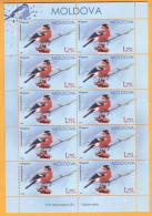 2015 Moldova Moldavie Moldau Birds From Moldovan Regions Sheets Of 10 Stamps Mint 1,75 - Spechten En Klimvogels