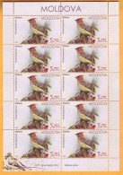 2015 Moldova Moldavie Moldau Birds From Moldovan Regions Sheets Of 10 Stamps Mint 5,75 - Spechten En Klimvogels