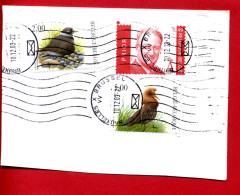 2003 - Belgique - Sur Fragment - Tp Roi Albert II Et Oiseaux GRAND GRAVELOT N°3133 + COMBATTANT VARIE N°3134 - Covers & Documents