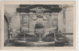 49 DEPT 84 : édit. Roque : Lourmarin Fontaine De La Place - Lourmarin