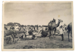 CPA - NIGER [AOF] - Marché Au Mil - Niger