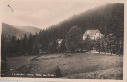 114154 - Langelsheim Lauthenthal - Hotel Waldkater - Langelsheim