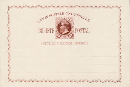 BRAZIL 1881 POSTCARD UNUSED - Postal Stationery