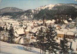 72245251 Lautenthal Harz Teilansicht Im Winter Lautenthal - Langelsheim