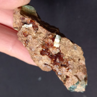 #G72 - Beautiful Garnet Var. HESSONITE Crystals (Gava Valley, Voltri, Genoa, Liguria, Italy) - Minerals