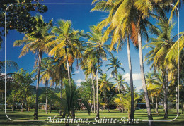 Martinique Sainte Anne La Cocoteraie Des Boucaniers - Le Marin