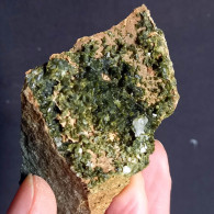 #G74 – Schöne EPIDOT Kristalle (Nascio, Val Graveglia, Ne, Genua, Ligurien, Italien) - Minerals