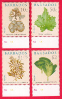 BARBADOS STAMPS, SET OF 4, FLORA, MNH - Barbades (1966-...)