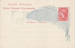 BRAZIL 1890 POSTCARD UNUSED - Interi Postali