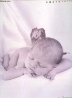 Anne Geddes Photofolio - Collection I. - Geddes Anne - 2000 - Fotografie