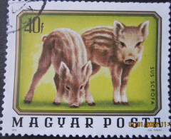 HUNGARY ~ 1976 ~ S.G. NUMBER 3014, ~ YOUNG ANIMALS. ~ VFU #01887 - Used Stamps