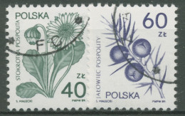 Polen 1989 Heilpflanzen Gänseblümchen Wacholder 3214/15 Gestempelt - Gebruikt