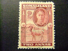 51 SOMALILAND 1942 GEORGE VI YVERT 90 FU - SG 107 º FU - Somaliland (Herrschaft ...-1959)