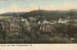 AK Gruss Aus Bad Freienwalde A.O. - Panorama - 1909  (68239) - Bad Freienwalde