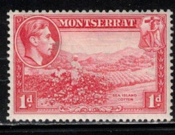 MONTSERRAT Scott # 93a MH - KGVI & Sea Island Cotton - Montserrat