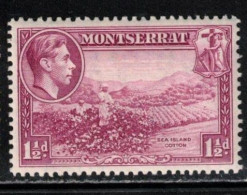 MONTSERRAT Scott # 94a MH - KGVI & Sea Island Cotton - Montserrat