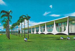 BRASIL - BRASÍLIA - Palácio Da Alvorada - Brasilia