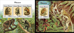 Guinea Bissau 2021, Animals, Monkeys II, 3val In BF+BF - Apen