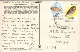 Tonga Marine Life Cover Postcard To USA - 29s Shell, 3s Fish Paying 32s Post Card Rate - Tonga (1970-...)