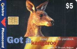 AUSTRALIA $5 KANGAROO ANIMAL  BELGIUM 1997 FAIR CHIP CARD 1500 ONLY !!!!!! CODE 97-11P READ DESCRIPTION !! - Australia
