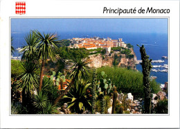 17-3-2024 (3 Y 16)  Monaco (posted To France - With French Stamp)  1996 ? (cactus Plant / Flowers) - Cactus