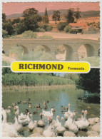 Australia TASMANIA TAS Bridge & Ducks RICHMOND Douglas DS174RP Dual View Postcard C1980s - Andere & Zonder Classificatie