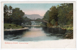 BETTWS-y-COED - Waterloo Bridge - Peacock Autochrom 454 - Caernarvonshire