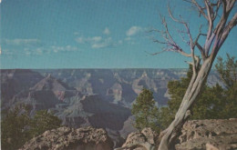 92405 - USA - Grand Canyon - 1982 - Gran Cañon